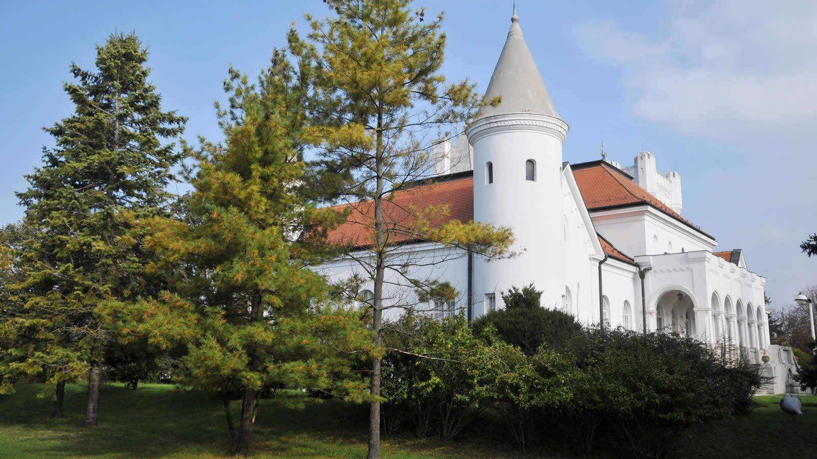 Bečej izleti