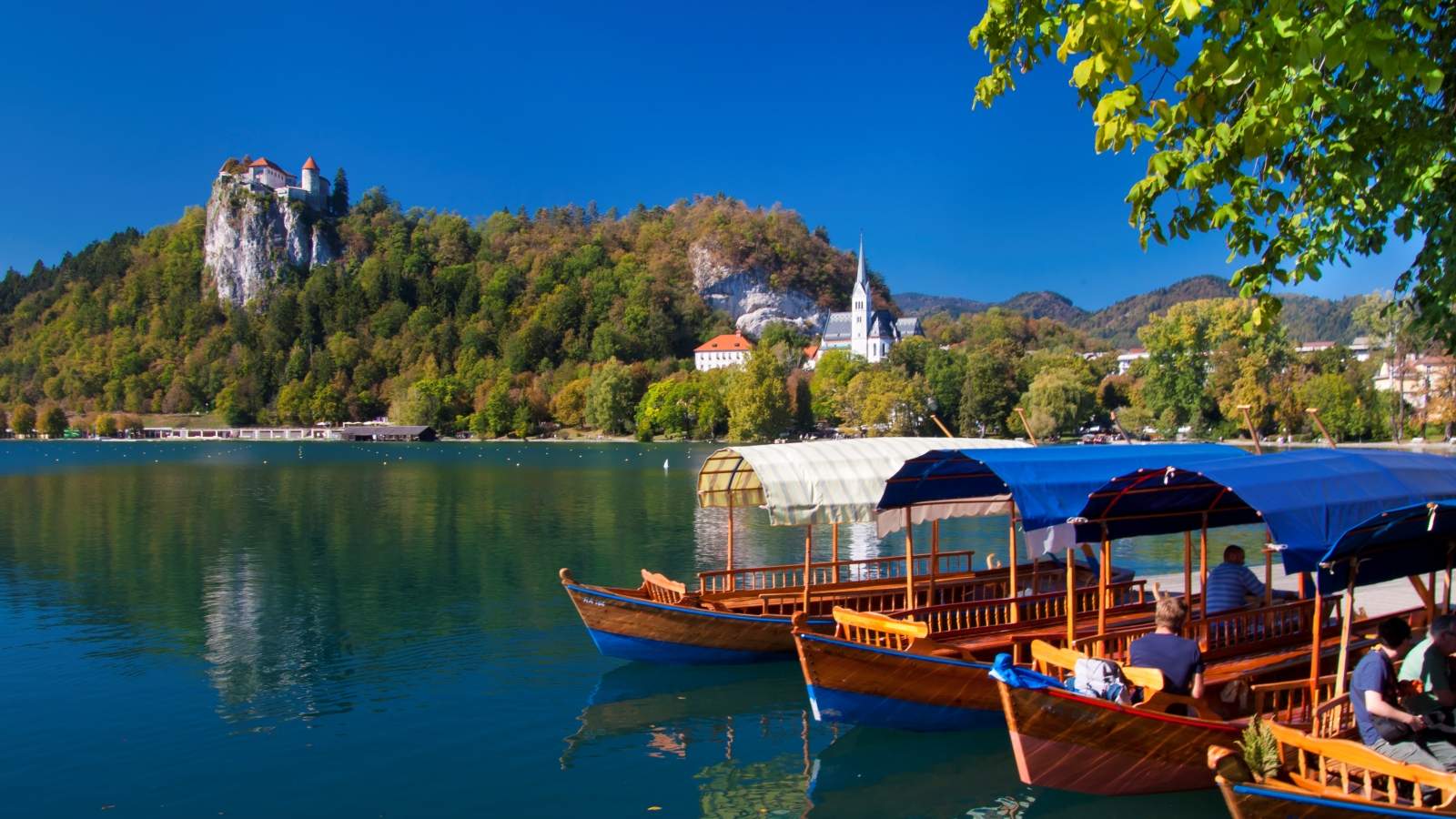 Bled jezero