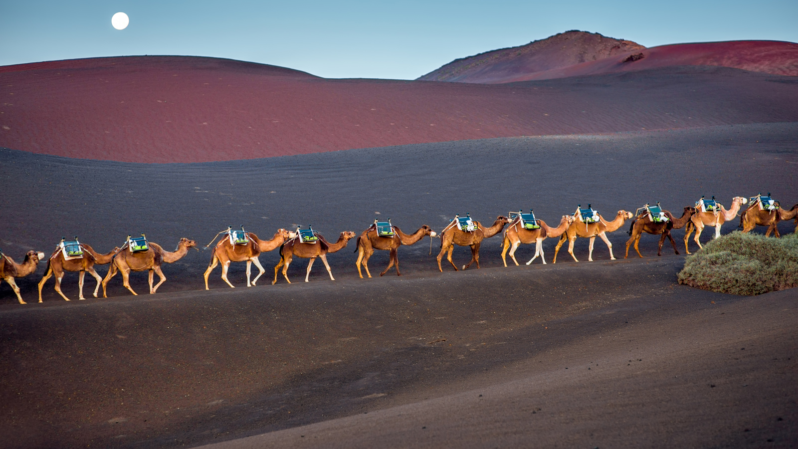 Lanzarote putovanja