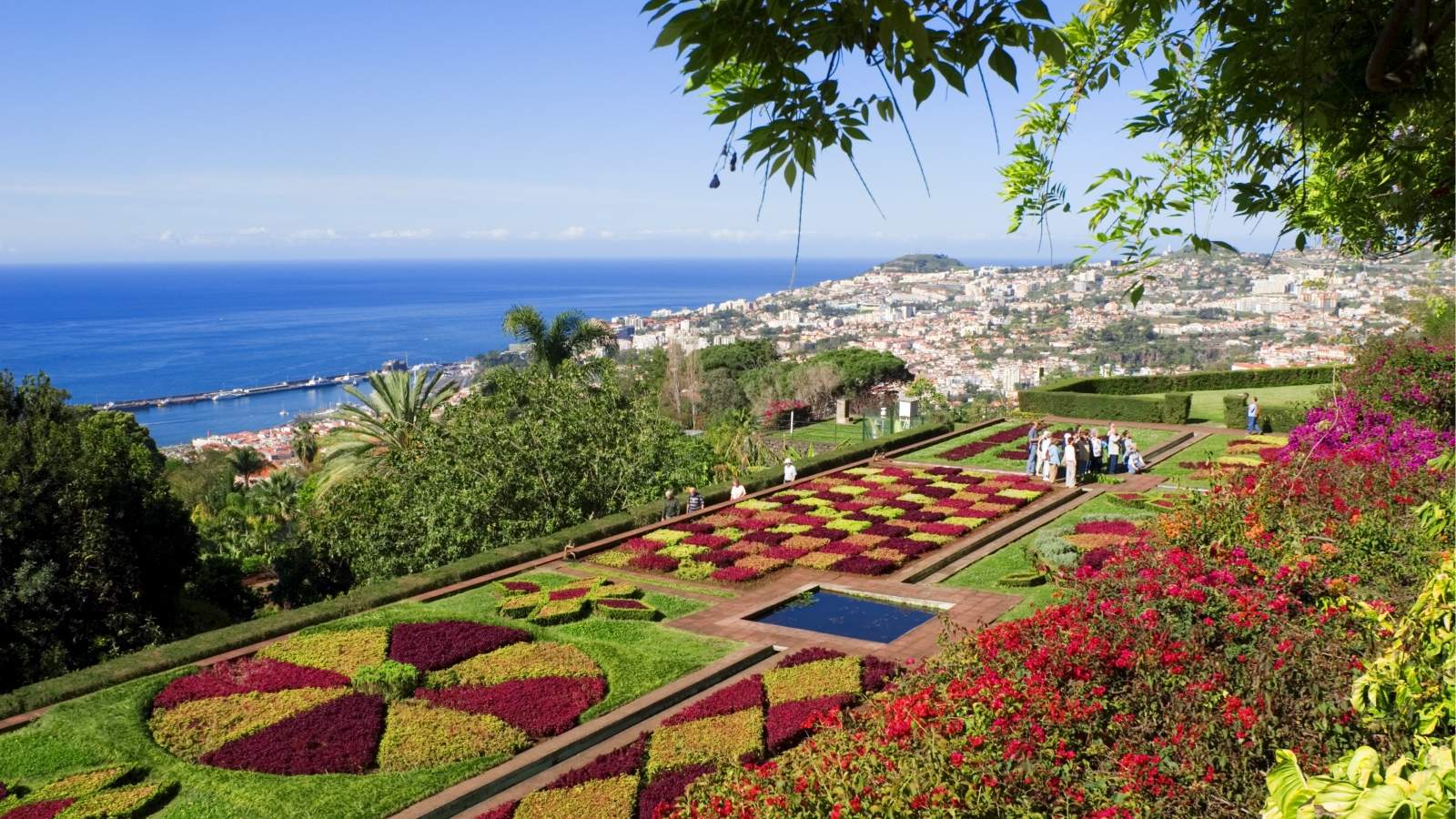 Madeira-Portugal-ostrvo-botanicka-basta-grad-panorama-more-letovanje-2.jpg