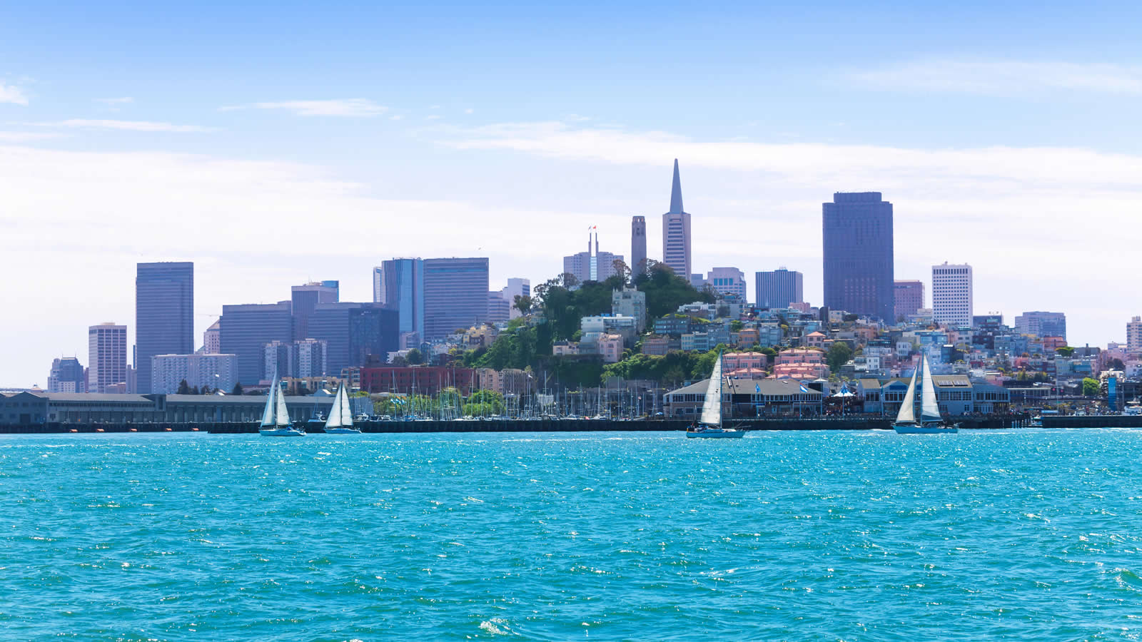 San Francisko SAD aranžmani