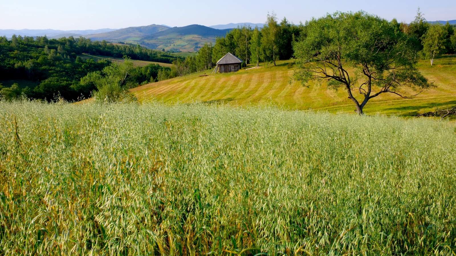 Sjenica putovanje