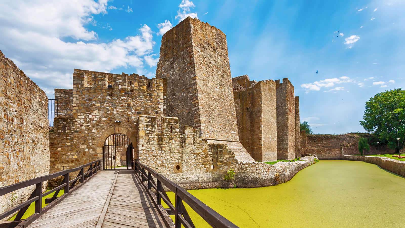 Smederevo obilasci ture