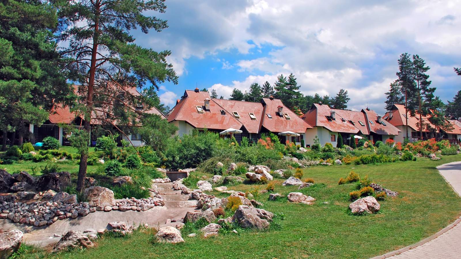 Zlatibor odmor planina